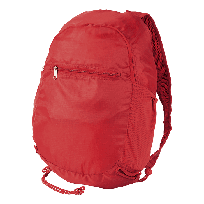 Stash Backpack