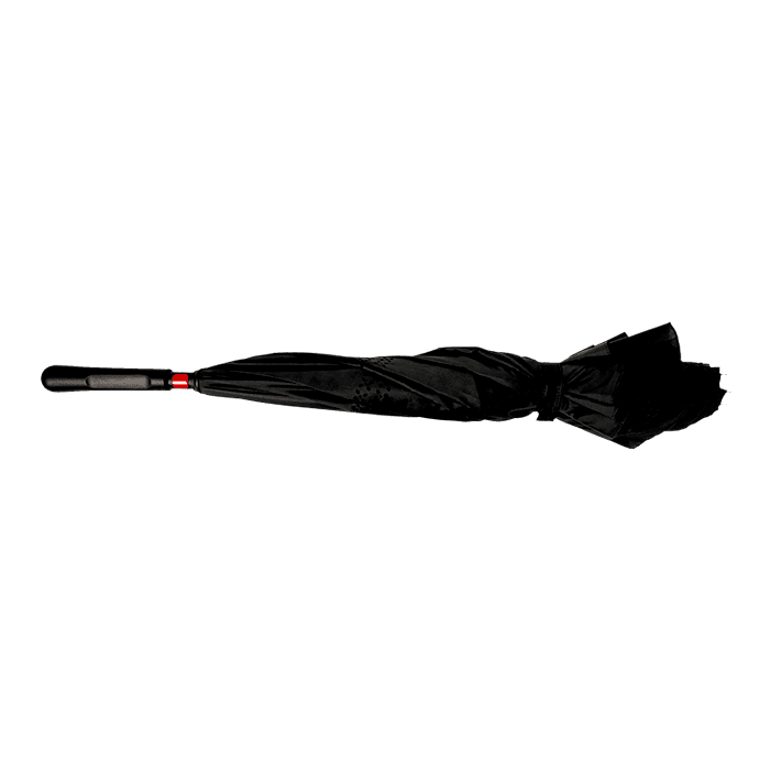 Reversible Umbrella