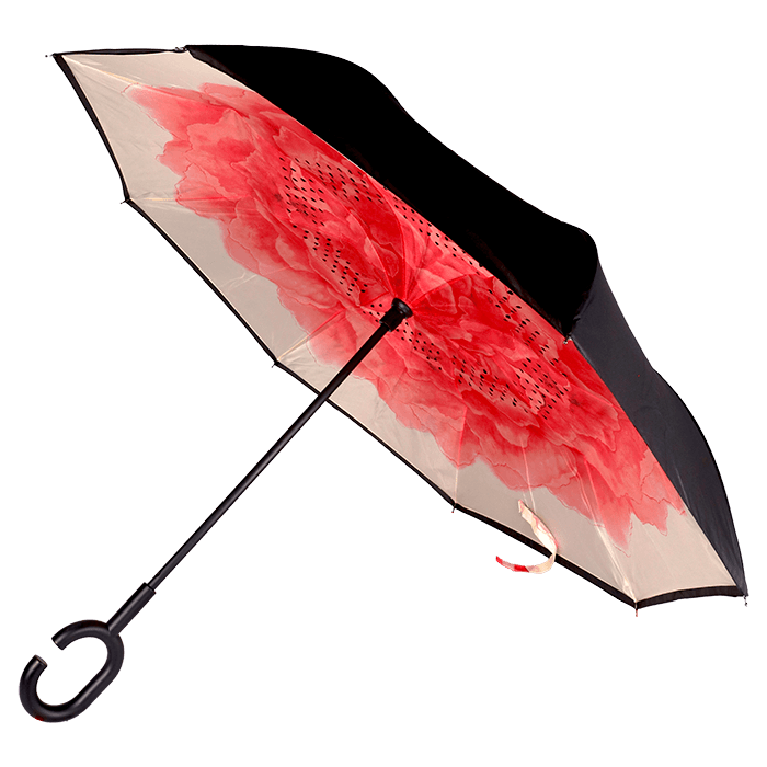 Printed Reversible Umbrella