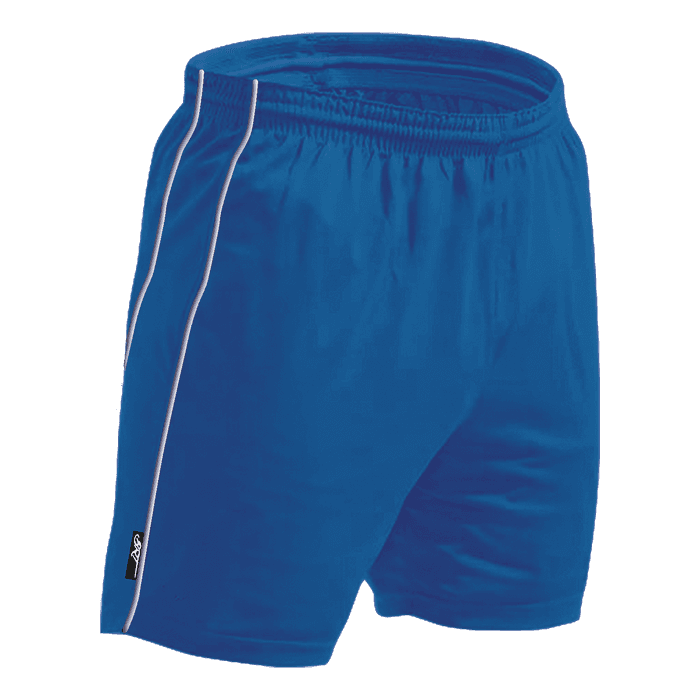 BRT Reflect Shorts
